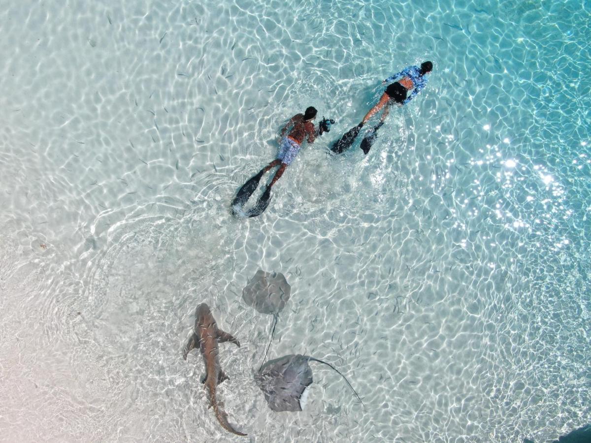 Oceana Boutique Hotel Maafushi Exterior foto